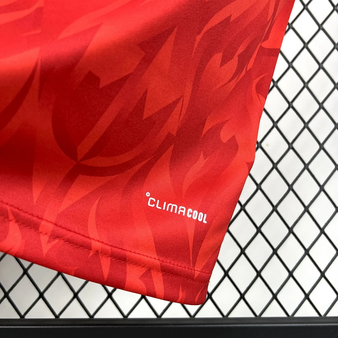 2026 Belgium home Soccer Jersey Thai Quality