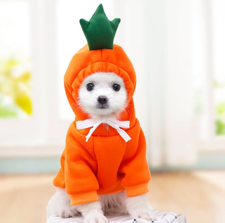 petlora Cat and Dog Cute Carrot Hoodie
