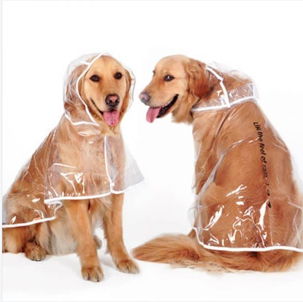 Transparent Dog Raincoat for Big Dogs