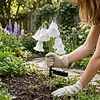 Solar Flower Stake Light Outdoor Garden Decorative Lily Lawn Lamp