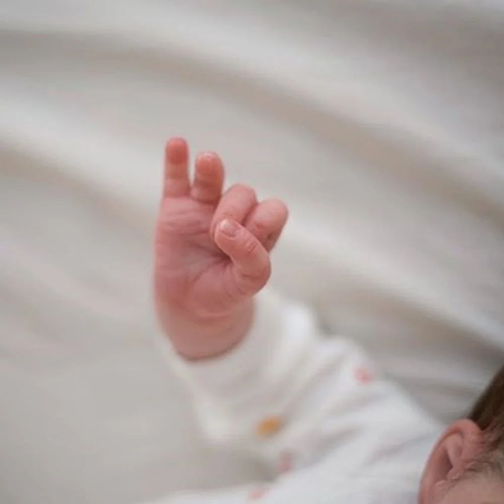 Realistic 17'' Mikaela Reborn Baby Doll Boy