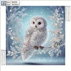 Diamond Painting-DIY Crystal Rhinestone Ice Owl