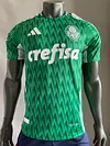 2024/2025 Player Version Palmeiras Special Edition Jersey 1:1 Thai Quality