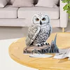 Diamond Painting Decor Acrylic Owl Desk Ornament