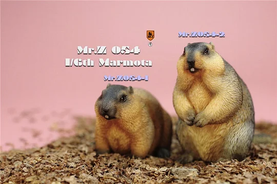 Mr.Z  MRZ054 1/6 Cavia Porcellus Marmota Model Cute Animal Statue Scene Home Decor Toy-aliexpress