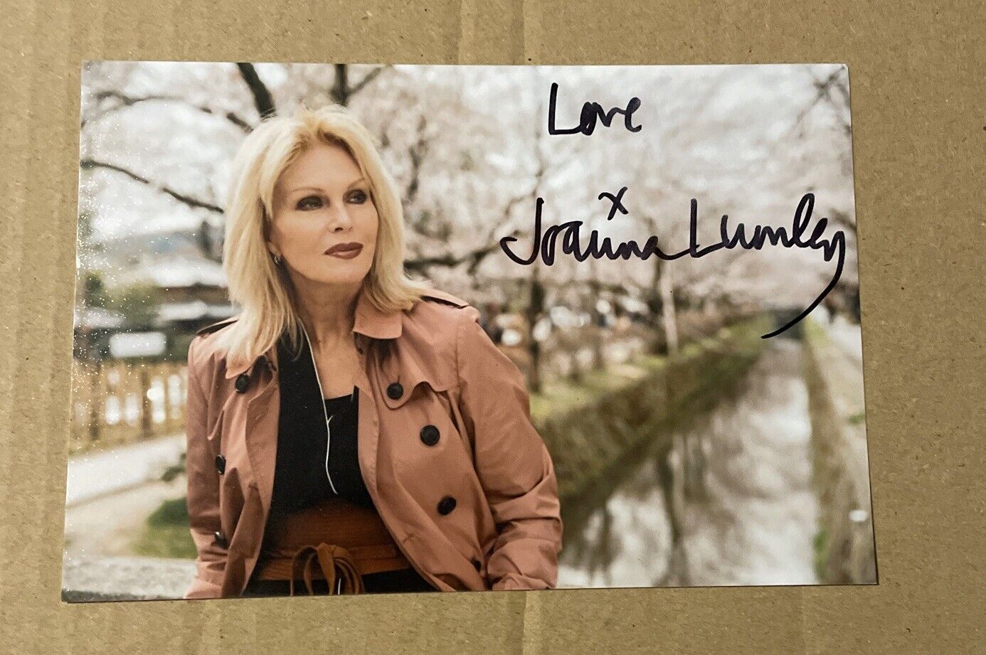 JOANNA LUMLEY Hand Signed 6x4 Photo Poster painting - The New Avengers Ab Fab Actress Comedy