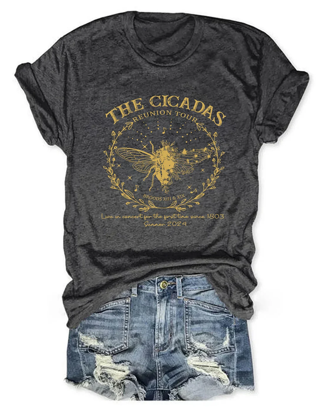 The Cicadas Reunion Tour 2024 T-shirt