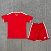 2026 Wales Home Football Shirt 1:1 Thai Quality Kids Size