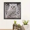 Snow Glow Owl -Special Shaped Diamond Painting