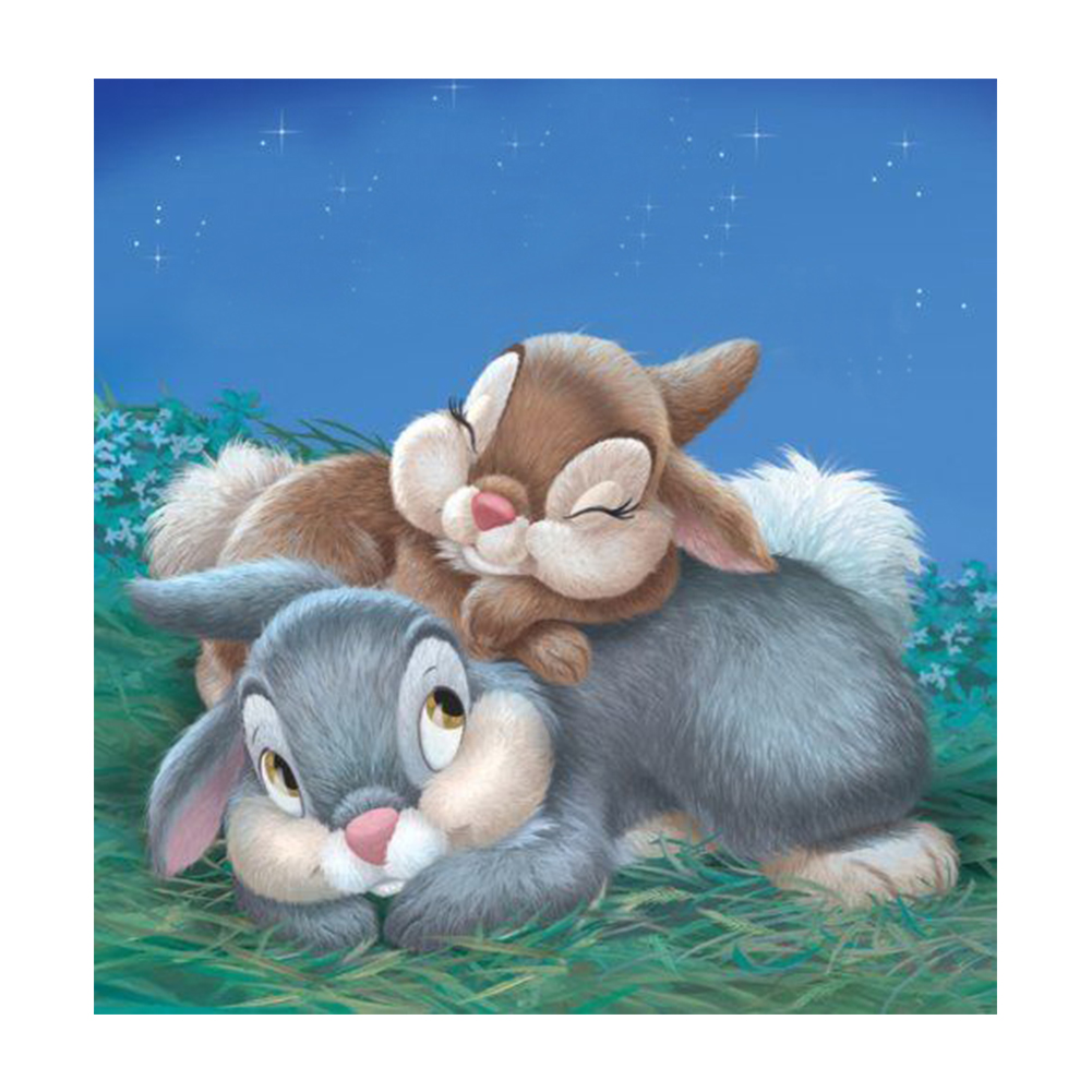 

Two Rabbits - Round Drill Diamond Painting - 30*30CM, 501 Original