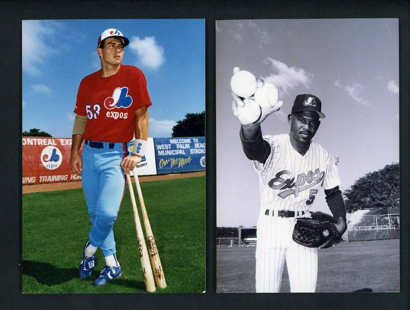 Montreal Expos LOT of FIVE 1992 Press Original Photo Poster paintings Colbrunn Fletcher Haney