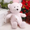 Cute Bear Car Used Hanging Tissue Box Storage Car Space Organizing