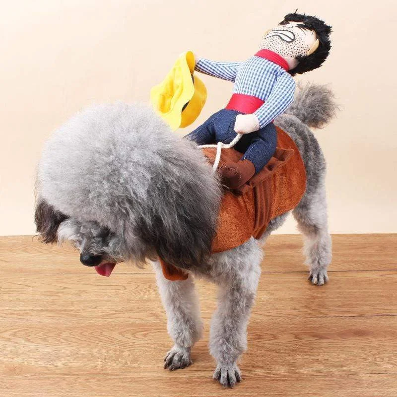 Cowboy Cavalier Dog Costume - Halloween Pet Costume  
