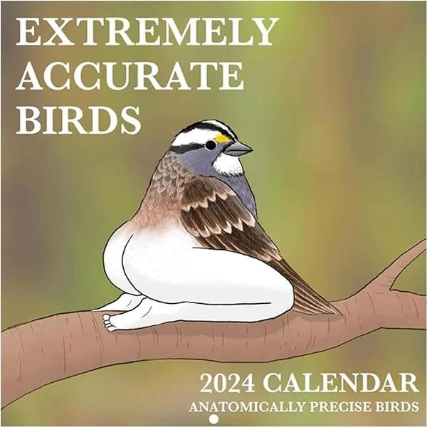 2024 Calendar - Calendar Of Extremely Accurate Birds Wall Calendar Jan.2024 - Dec.2024,12 Monthly Birds Hanging Calendar Planner,Wall Calendar 2024,Funny Calendar Gag Gifts for Family,Friends