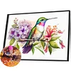 uk.everydayedeals (Limited Stock)Diamond Painting - Full Round - Hummingbird on A Branch(40*60cm)