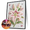 Diamond Painting-DIY Special Shaped Drill Pearl Painting Lily(30x40cm)