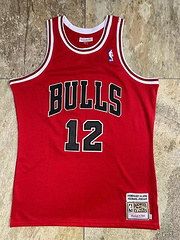 Jordan Chicago Bulls 12 Red MN