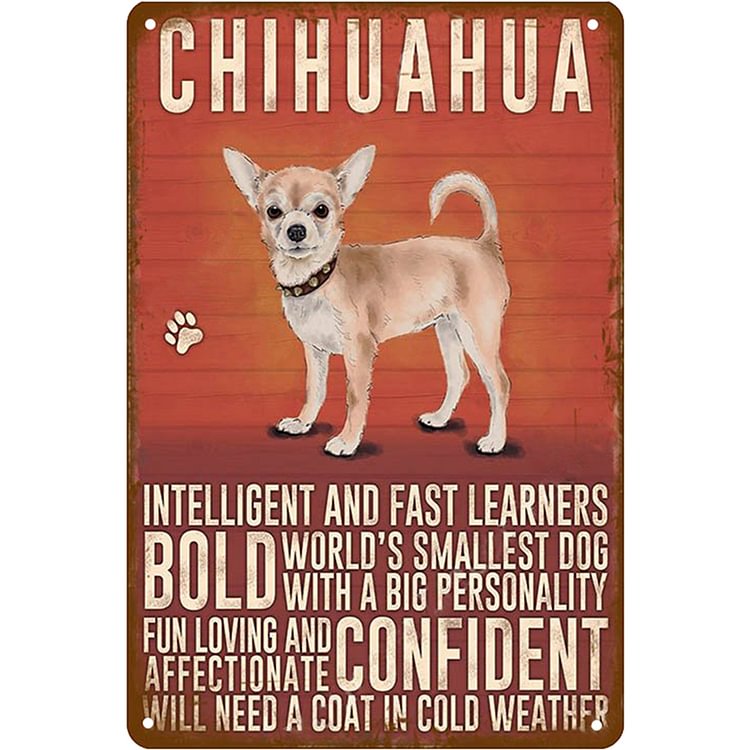 Chien Chihuahua - Enseigne Vintage Métallique/Enseignes en bois - 20*30cm/30*40cm