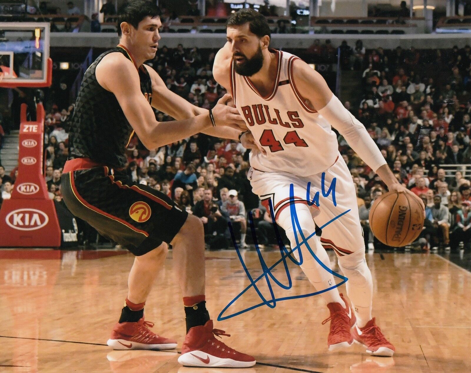 NIKOLA MIROTIC signed (CHICAGO BULLS) autographed BASKETBALL 8X10 Photo Poster painting W/COA