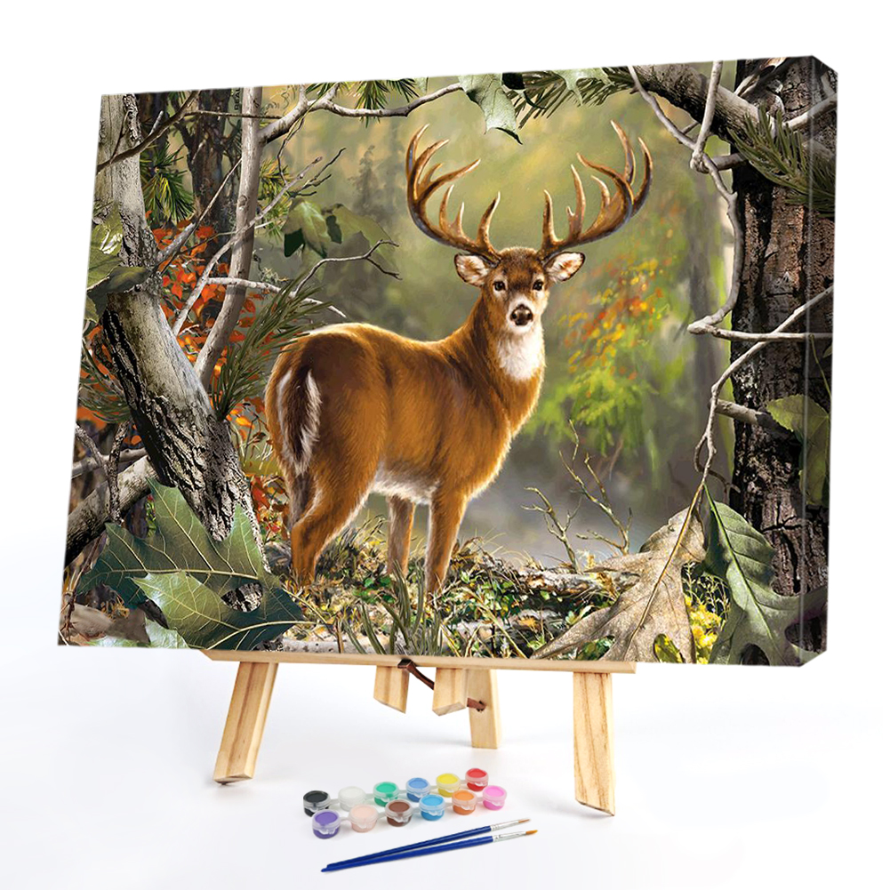 

50*40CM - Paint By Numbers - Black Bear, 501 Original