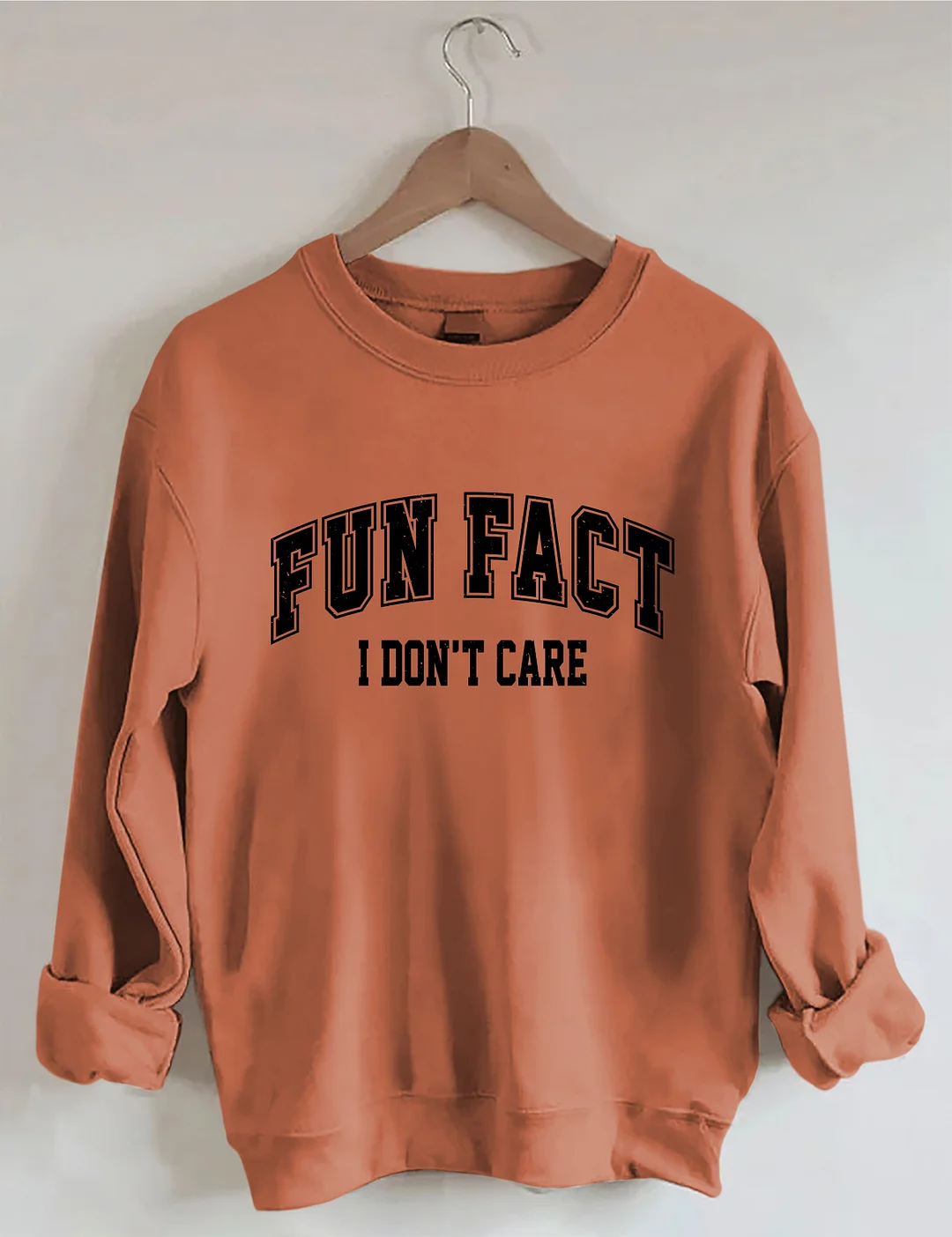 Fun Fact I Don't Care Sweatshirt