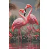 Flamingo-Full Round Diamond Painting 40*60cm
