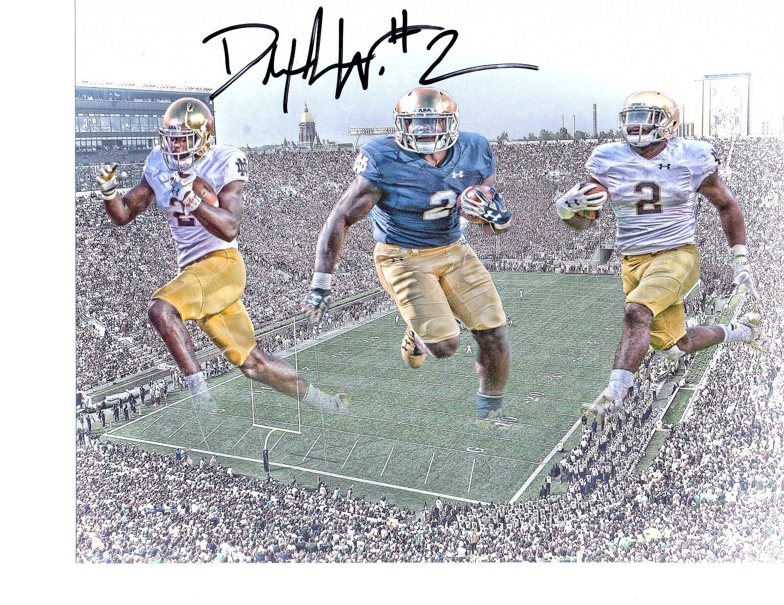 Dexter Williams Notre Dame Irish hand signed autographed 8x10 football Photo Poster painting ND!