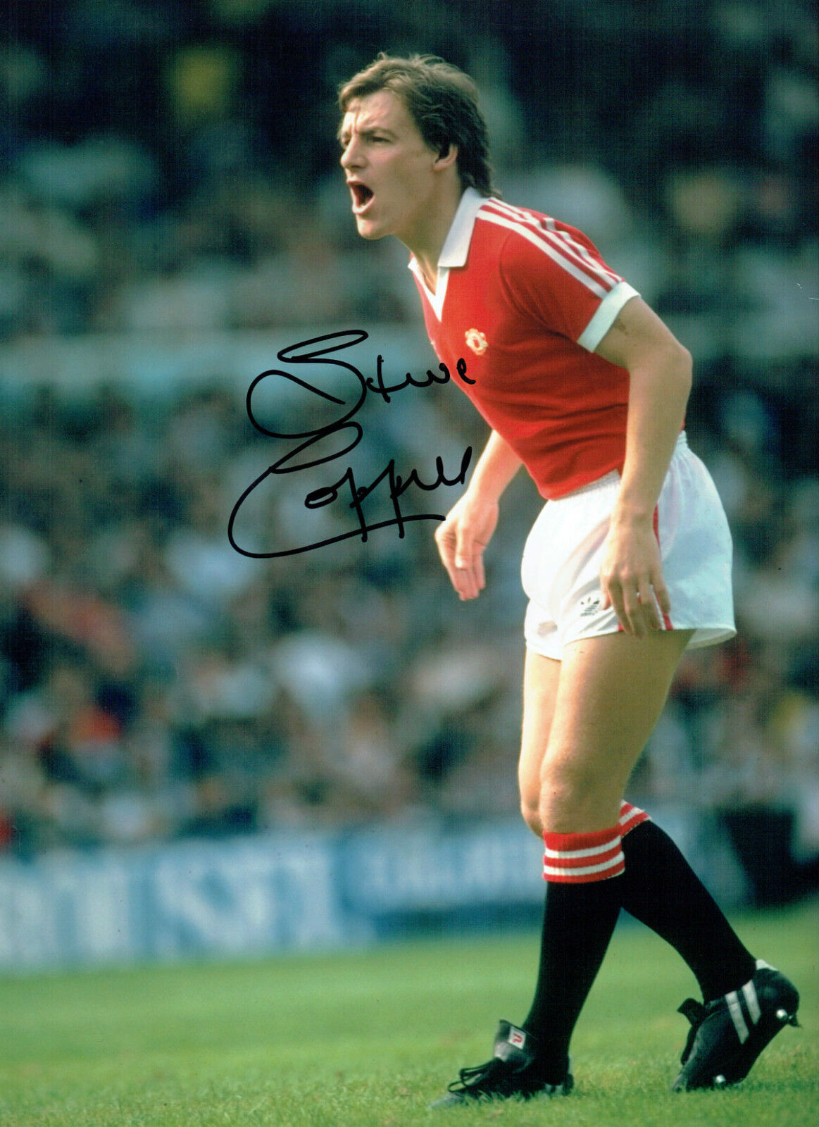 Steve COPPELL Signed Autograph Manchester United 16x12 Photo Poster painting AFTAL COA