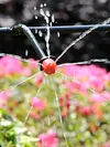 500Pcs 1/4 Inch Adjustable Drip Irrigation Emitters for Balcony Yard Greenhouse