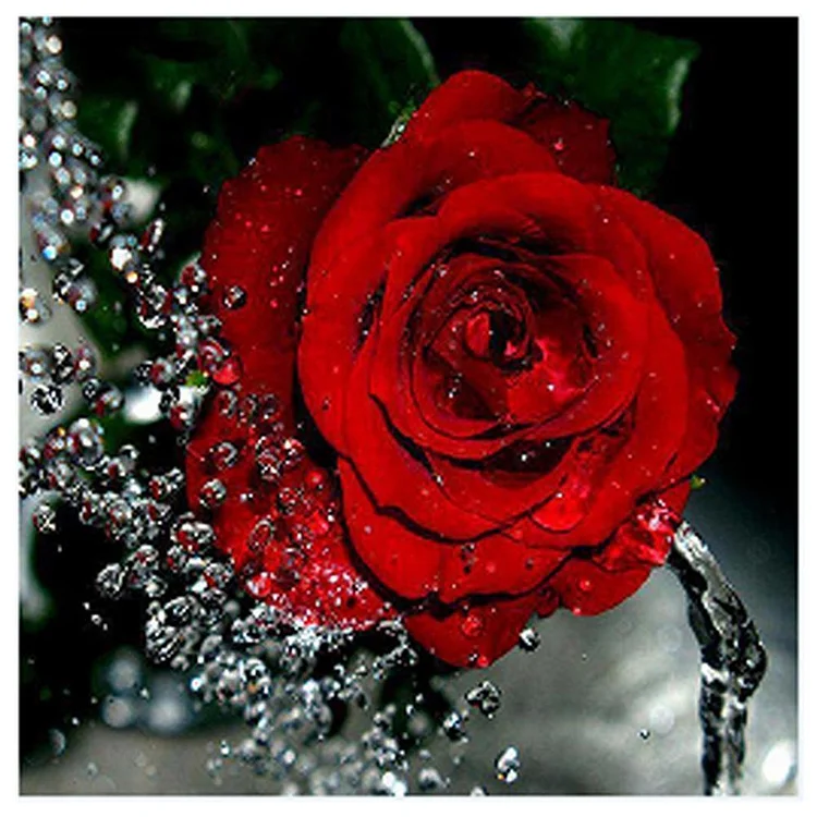 Rose Red - Partial Round Drill Diamond Painting - 30x30cm(Canvas)