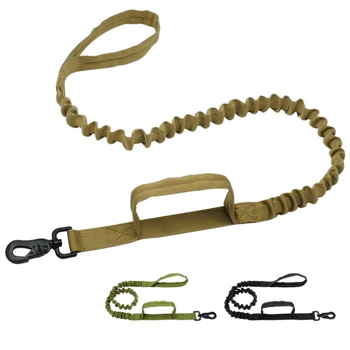 Double Handle Dog Leash