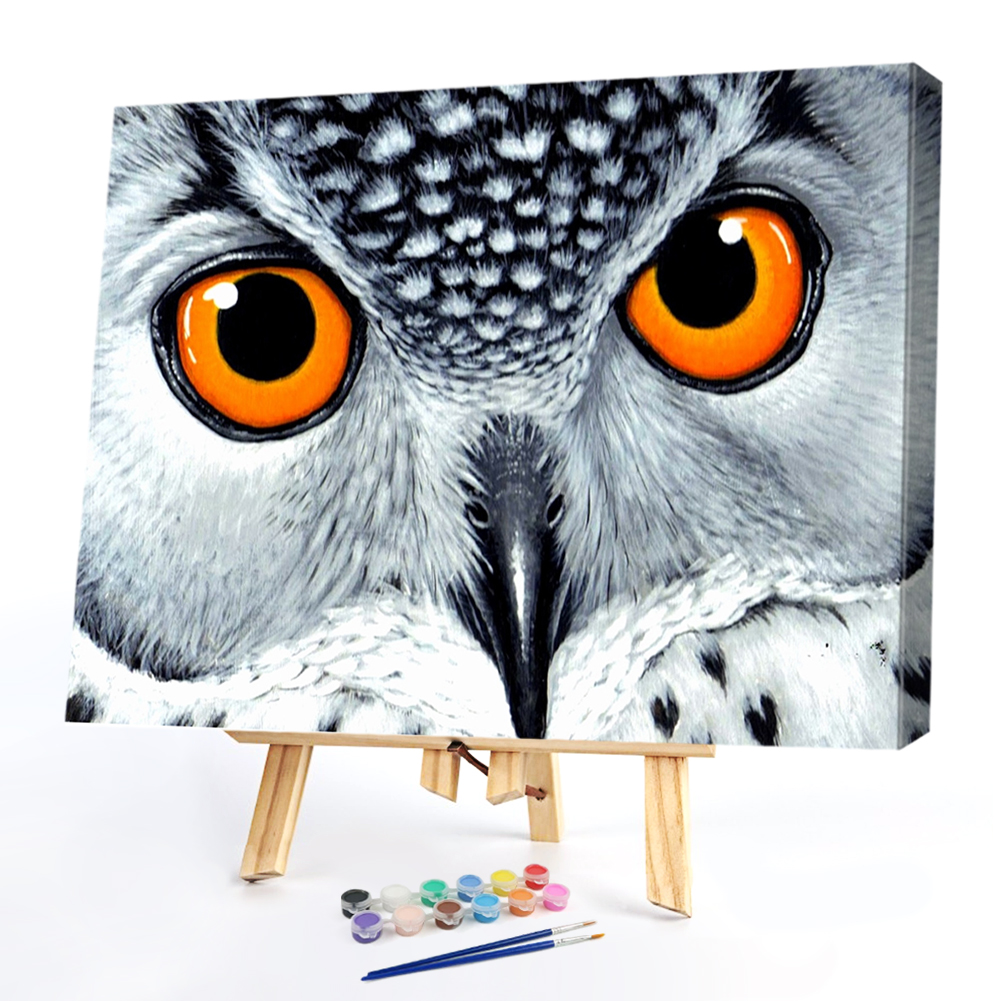 

40*30CM Paint By Numbers-Owl Eyes, 501 Original
