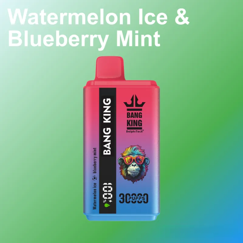 Bang King 30K Puffs Dual Flavour Disposable Vape 