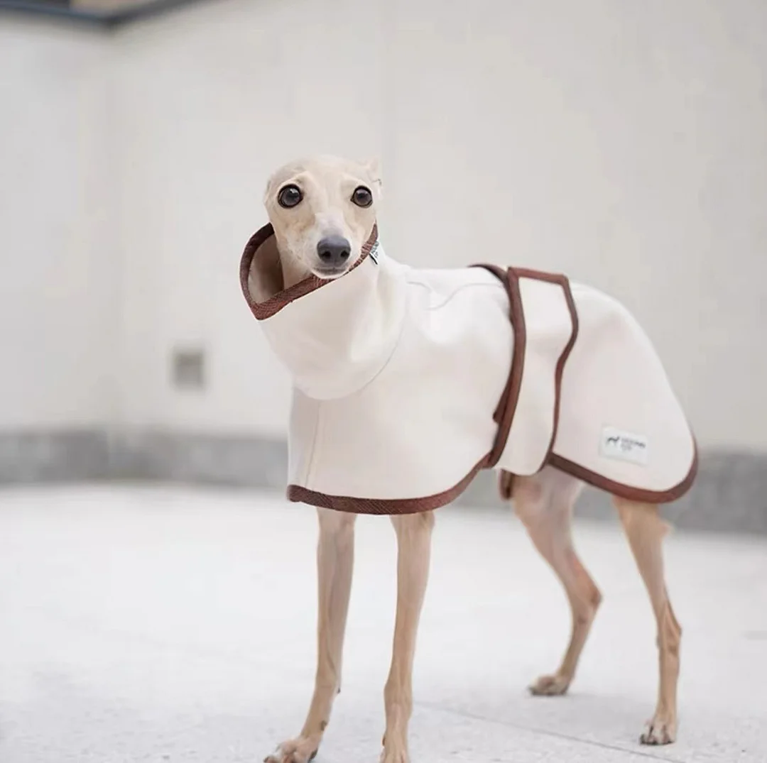 Dog Jacket for Italian Greyhound roarxlpet