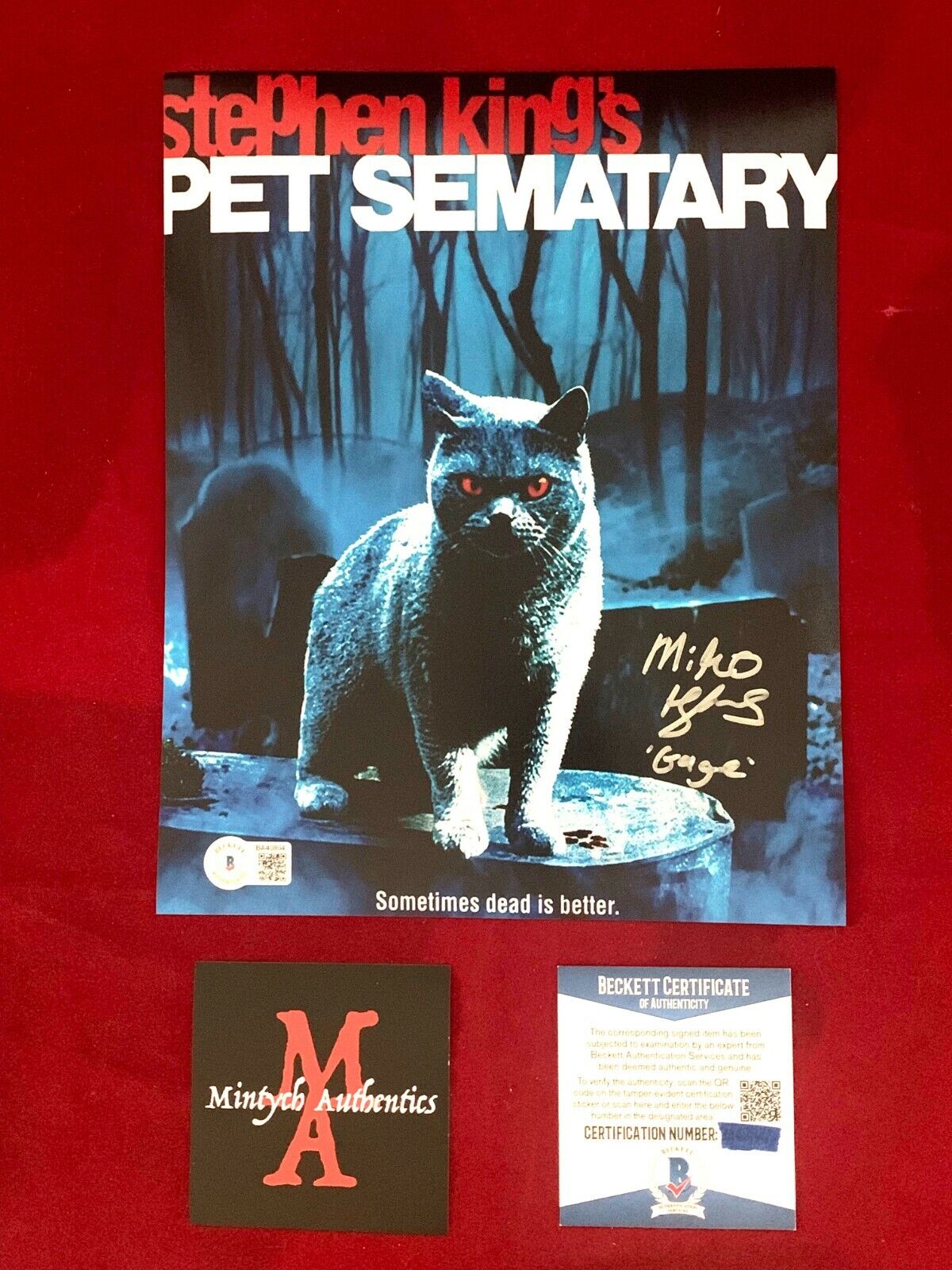 MIKO HUGHES AUTOGRAPHED SIGNED 8x10 Photo Poster painting! PET SEMATARY! GAGE! BECKETT COA!