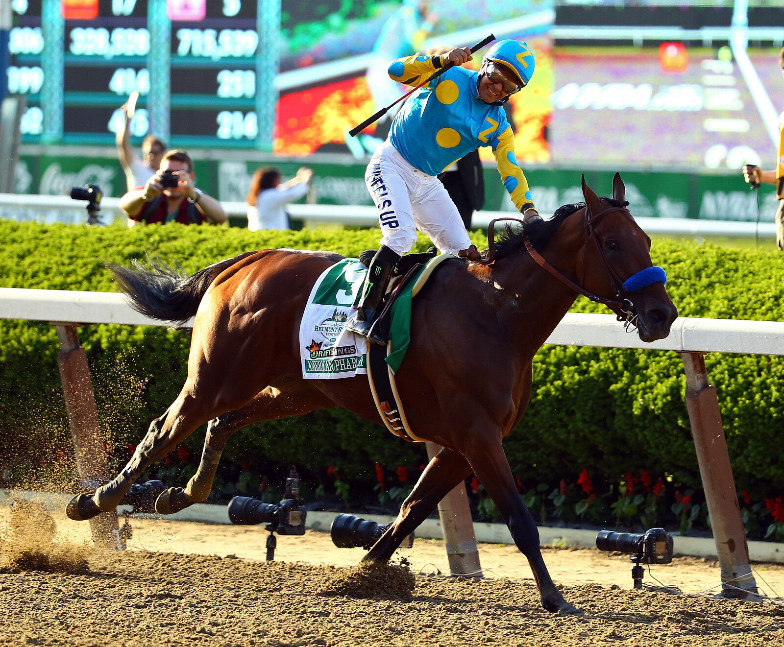 2015 Victor Espinoza AMERICAN PHAROAH Belmont Stakes Horse Racing 8x10 Photo Poster painting