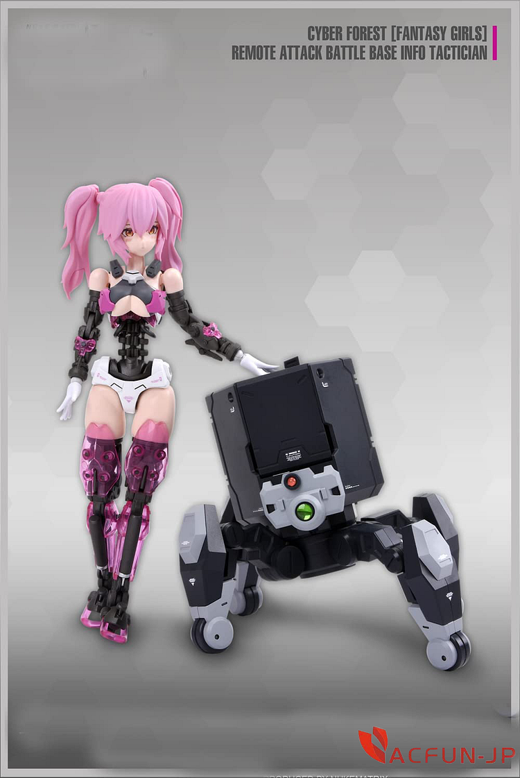 FANTASY GIRL 機甲少女 兎少女 プラモデル 塗装完成品
