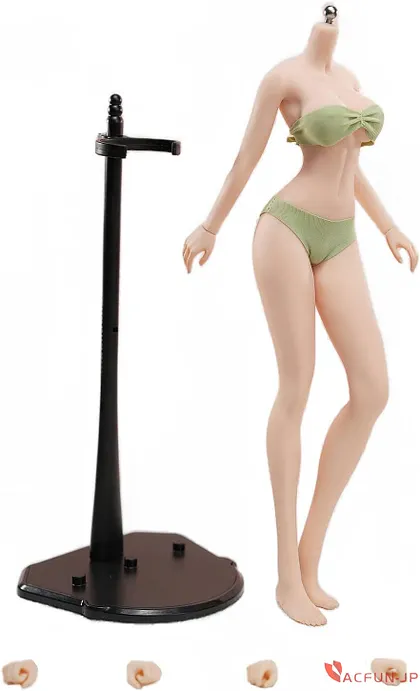 True1Toys 1/6 女性 GC3026 白肌白髪 可動 アクションフィギュア用 素