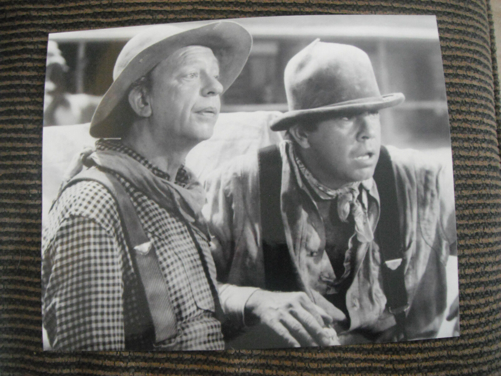 Don Knots Tim Conway Apple Dumplin Gang 8x10 B&W Photo Poster painting Photo Poster paintinggraph Movie