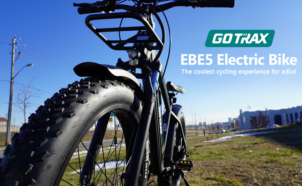 electric bike EBE5