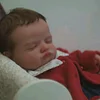 Babiesprincess Lifelike Reborn Baby Doll, Babiesprincess