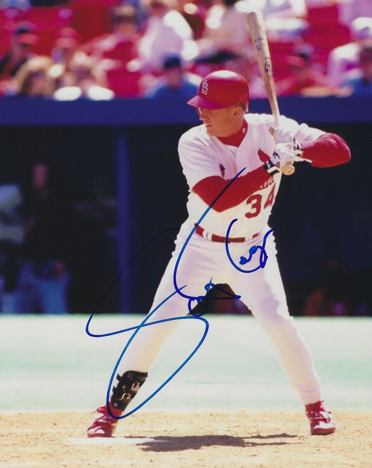 Signed 8x10 SCOTT COOPER St. Louis Cardinals Autographed Photo Poster painting - w/COA