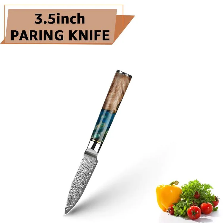 Damascus Steel VG10 Chef Knife with Blue Resin and Color Wood Handle