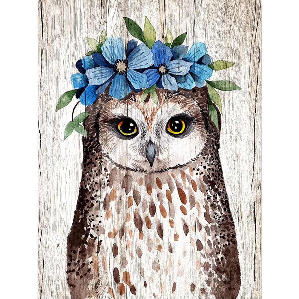 

40*50CM - Paint By Numbers - Flower Ow, 501 Original
