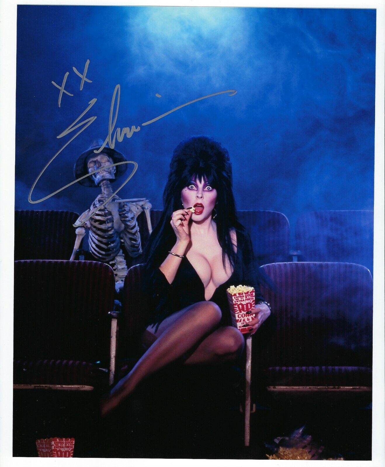 Elvira - Mistress of the Dark signed Photo Poster painting