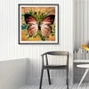 uk.everydayedeals (Limited Stock)Paint By Number - Oil Painting -  Butterfly (40*40Cm)