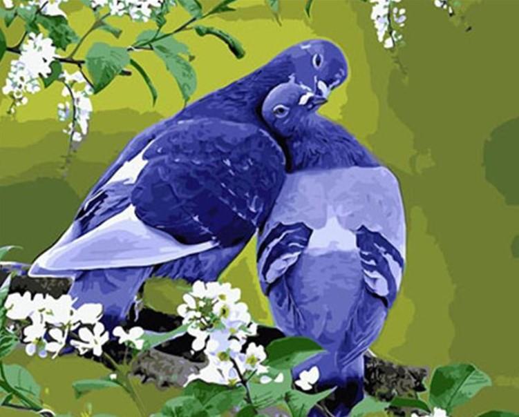 

Grey Pigeon – Paint By Numbers - 40*50CM, 501 Original
