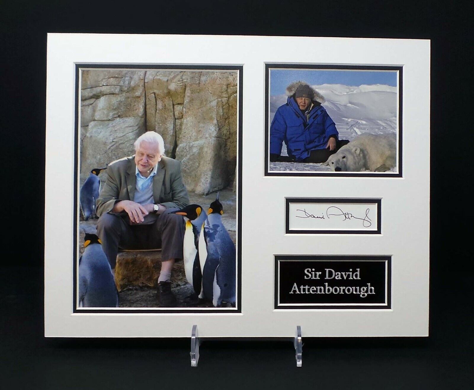 Sir David ATTENBOROUGH Signed Mounted Photo Poster painting Display AFTAL RD COA Living Planet