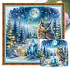 Owl On Gemstone Under Moonlit Night-Full Embroidery 3 Strands 11CT Stamped Cross Stitch-40*40CM