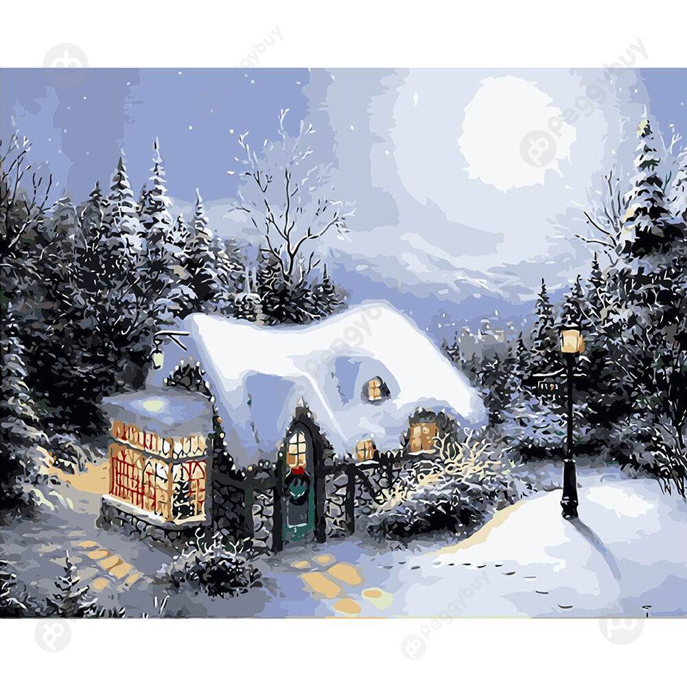 

40*50CM Paint By Numbers-Beauty Snow, 501 Original